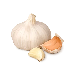Librex — ail (Allium sativum)