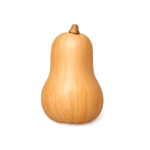 Librex — graines de courge (Cucurbita pepo)